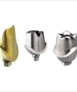 CUSTOMIZED ABUTMENT